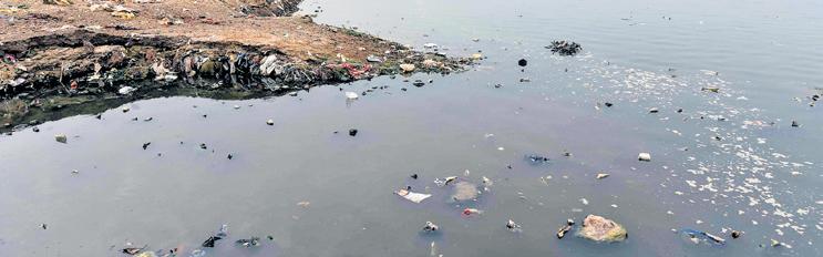 House Panel Says 23 Yamuna Sites Fail Water Quality Test