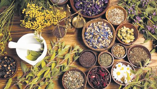 Ayush ministry rapped for not utilising funds