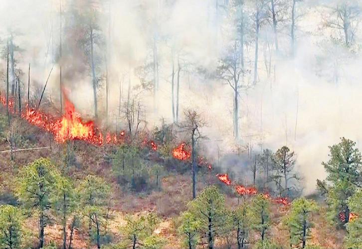 Smoke from New Jersey wildfire to affect quality of air in New York city