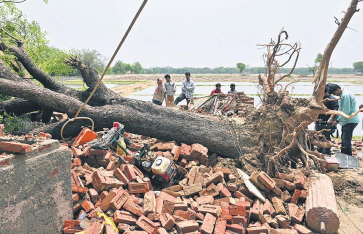 Four members of a family killed, 4 injured in rain-related incidents