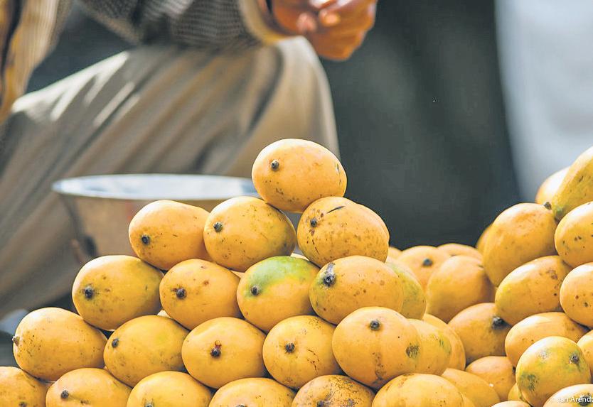 Goodness of Mango in a Nutshell