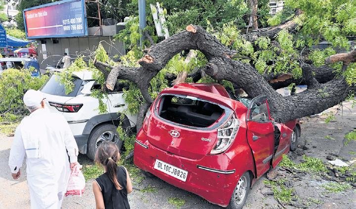 6 dead, power cuts & chaos on roads as storm exposes capital's infra gaps