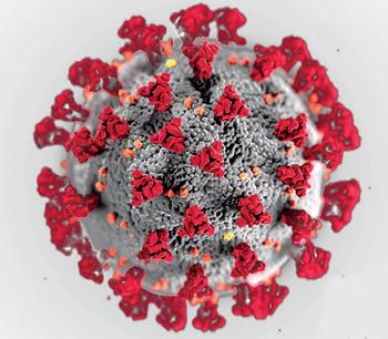 Hosps told to start Covid protocols; 4 cases in NCR