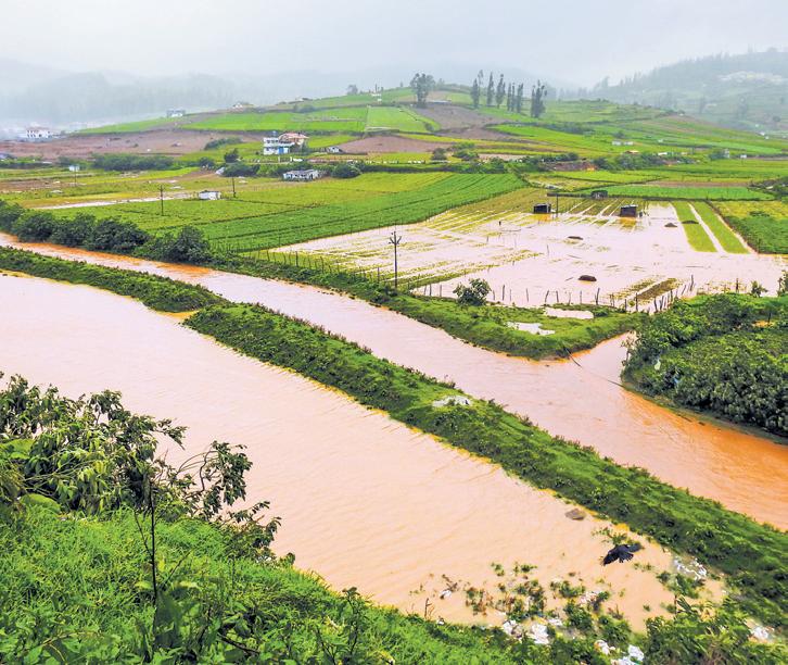 Above-normal rains, fewer heatwave days