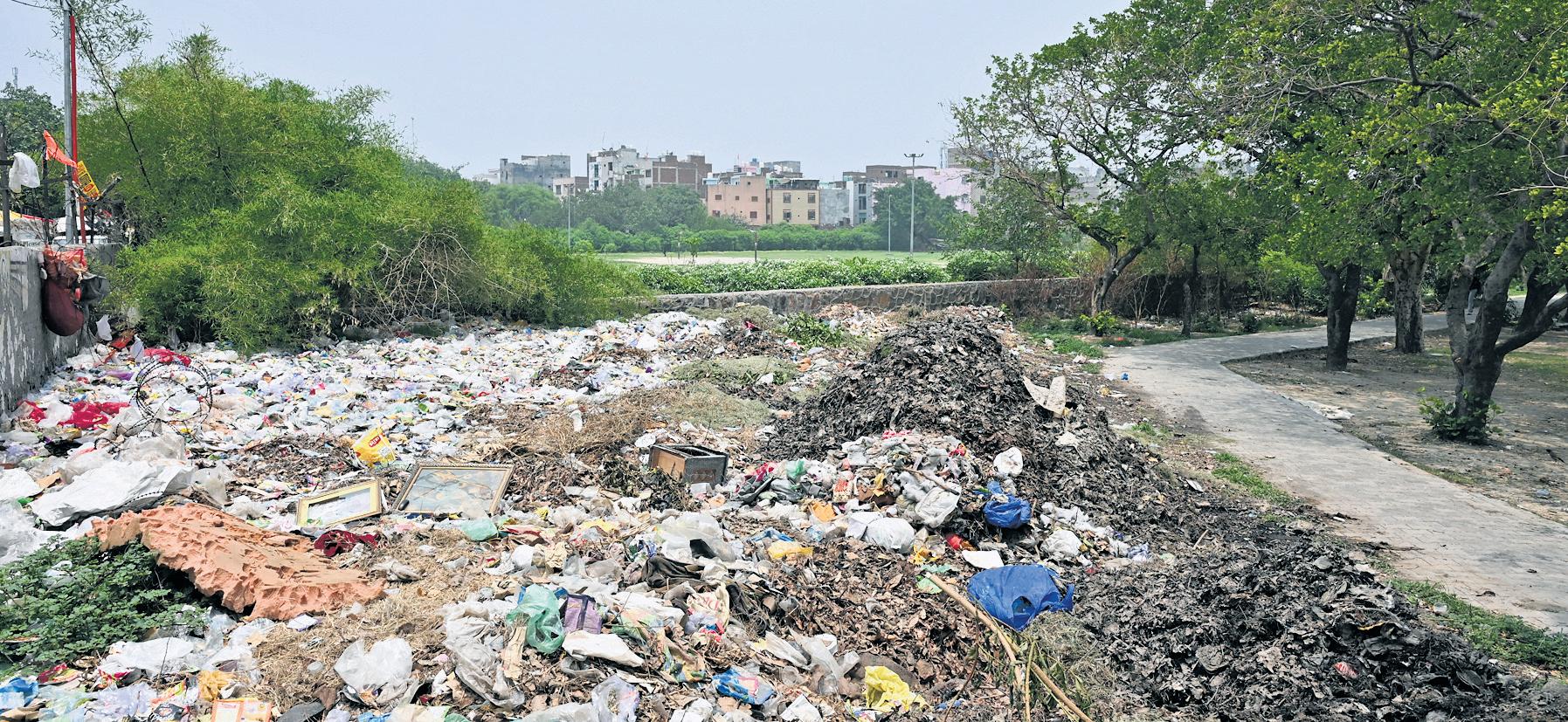 From feathered paradise to forgotten dump: Okhla sanctuary loses charm