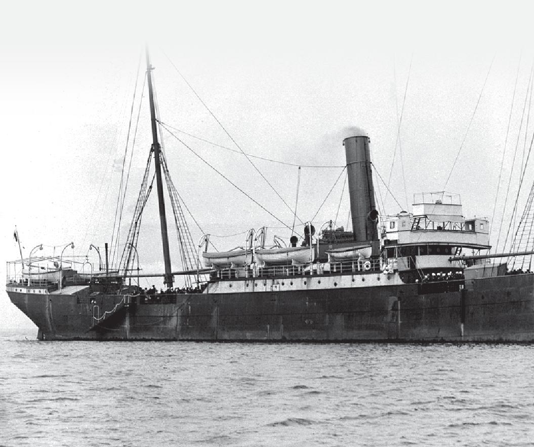 Immigrants, rebels, freedom fighters