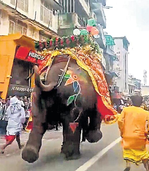 Elephant at Rath Yatra Goes Berserk and Triggers Chaos Among Devotees