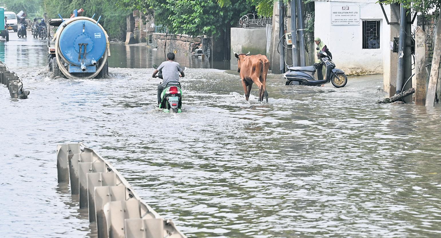 Vanishing pond network leads to Gurugram flooding: Minister