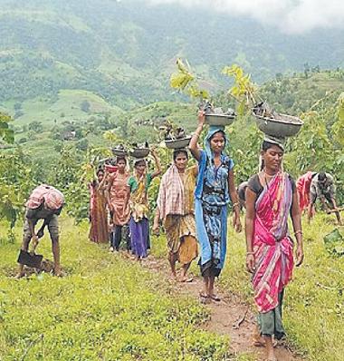 Tribal Forum Seeks Development for 49 Communities in K'taka, Stages Protest