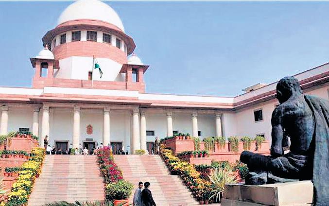 Shift Delhi-NCR stray dogs to shelters: SC