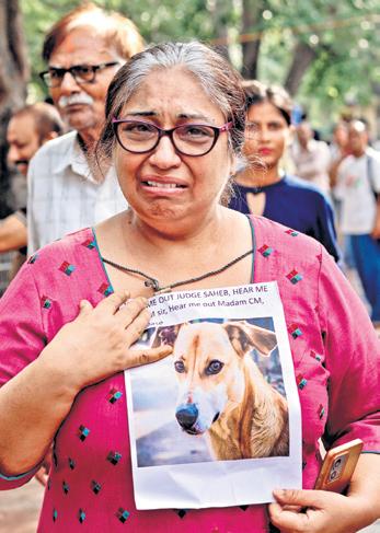 From netas to abhinetas, growl grows louder against dog fiat
