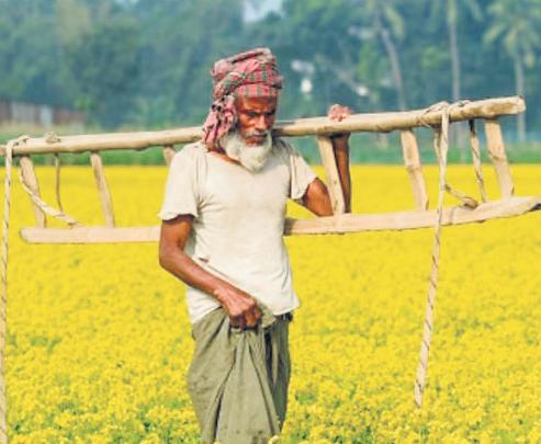No. of PM Kisan beneficiaries dips 49% in 5 yrs