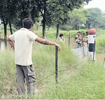 BSF Steps Up Border Vigil on Boats as Sutlej Waters Inundate Punjab Villages