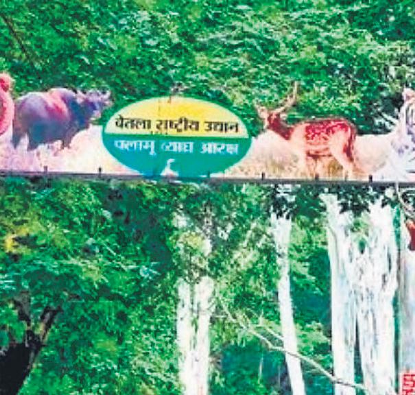Armed forest guards to be deployed in Palamu reserve on lines of Kaziranga