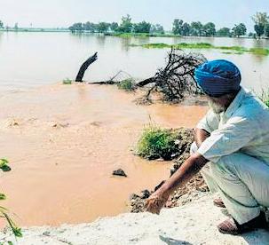 Changing soil profile after Punjab floods raises fertility worries