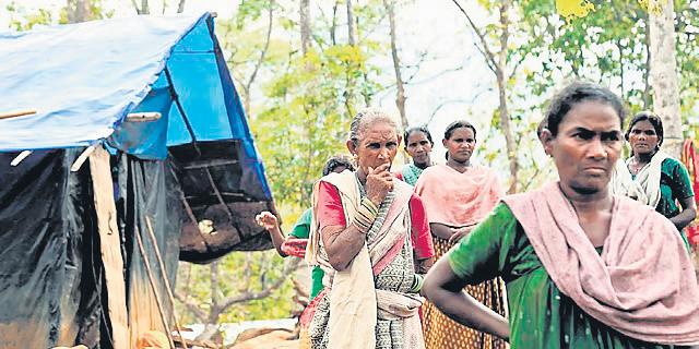Celebration mocks struggle for survival: Tribals