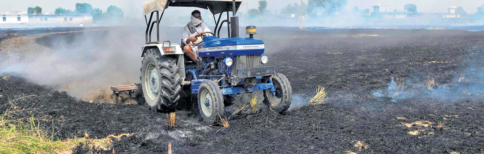 SOLUTIONS FOR POLLUTION THAT FLOP EVERY YEAR