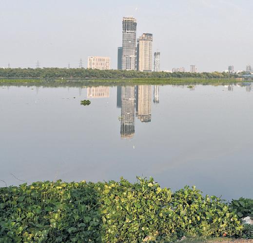 Work on Phase I of Yamuna banks cycle tracks to begin next year, officials tell CM