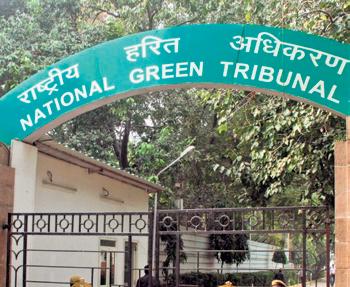 NGT directs CPCB to trace barrels of Endosulfan insecticide in Kerala
