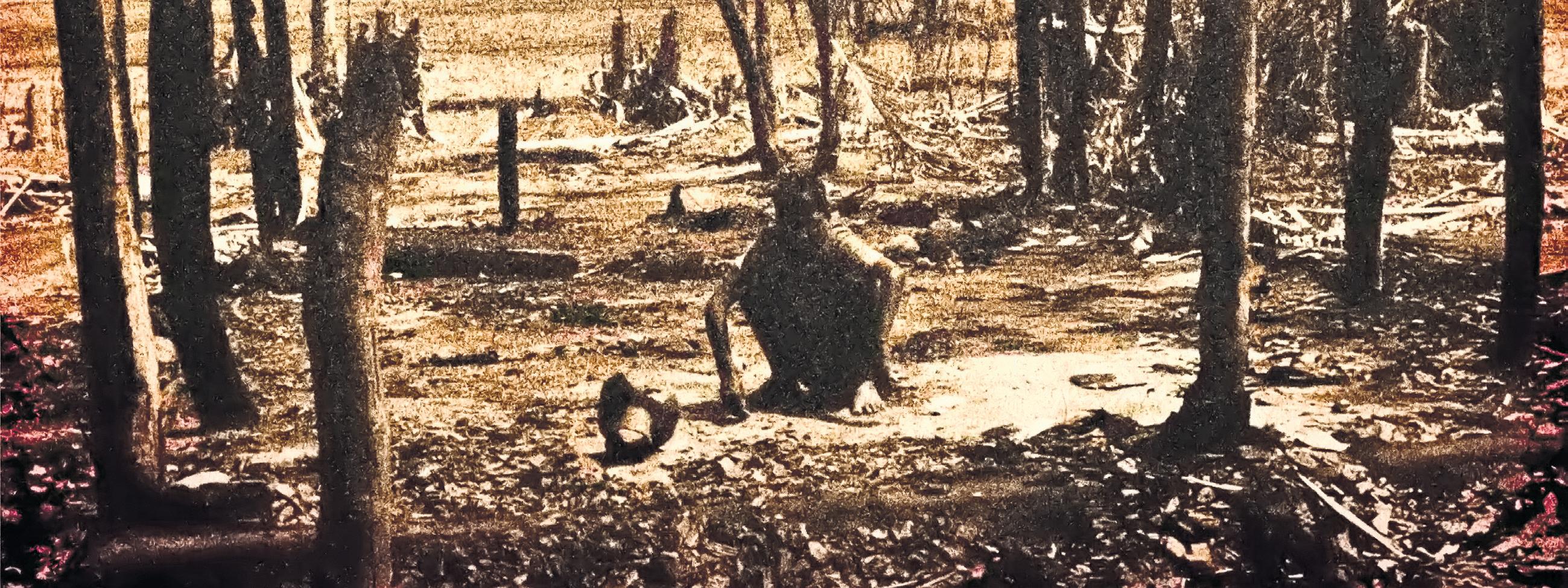 THE KILLING FIELDS OF NELLIE