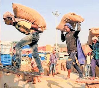 Centre, Mann govt agree to disagree on 2.9L deleted names from free grains list