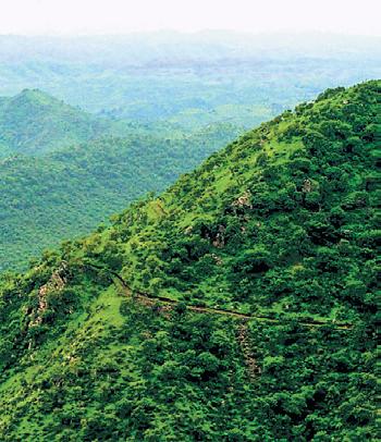 Campaign launched to save Aravallis from mining, ensure water security