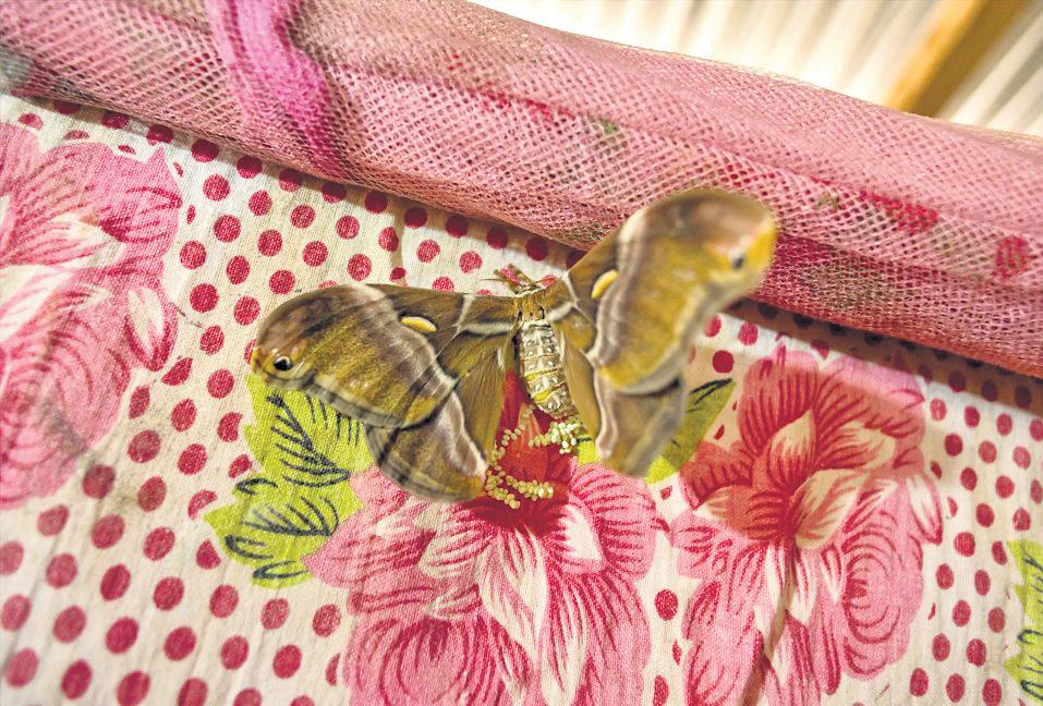 Crafting a New Silk Route