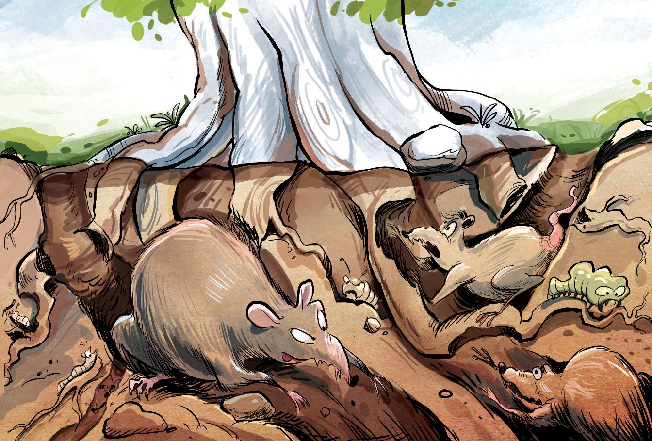 CRUCIAL BITES FOR TOOTHLESS CITY ADMINISTRATORS