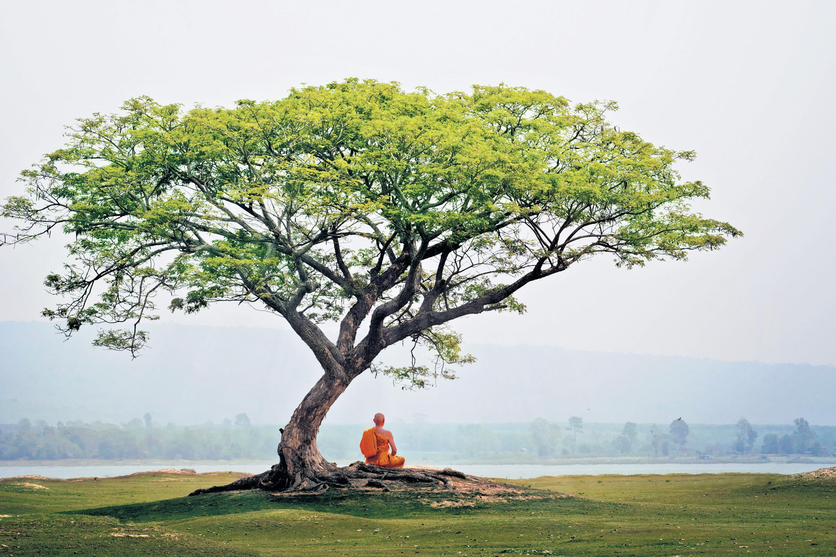 Discovering the Divine Connect
