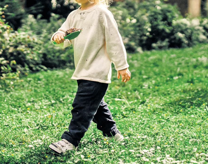 Choosing the right grass for your garden