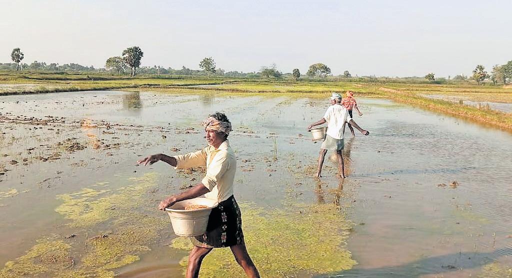 40% farmers linked to coops see improved yields