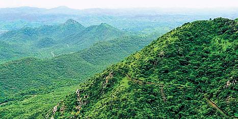‘Raj auctioned 50 new mining leases in Aravalli’