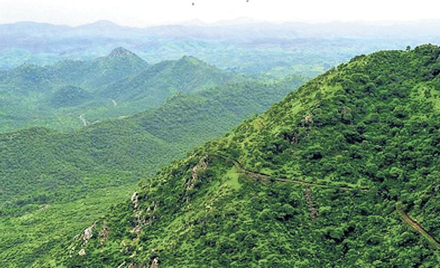 'Save Aravalli, Save Life' drive gains currency in Rajasthan