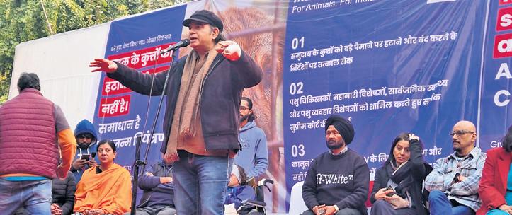 Bollywood singer, musicians protest SC stray dogs order