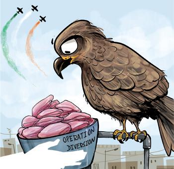 Chicken in the air to keep skies clear on R-Day