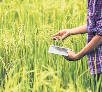 STRENGTHENING INDIA'S FERTILISER POLICY FOR SUSTAINABLE AGRICULTURE