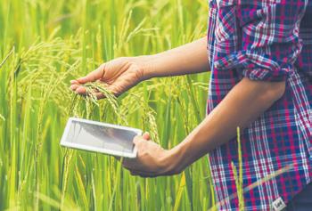 Govt to set min import prices to shield farmers