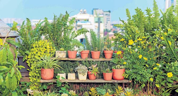 WATERPROOF YOUR TERRACE GARDENS