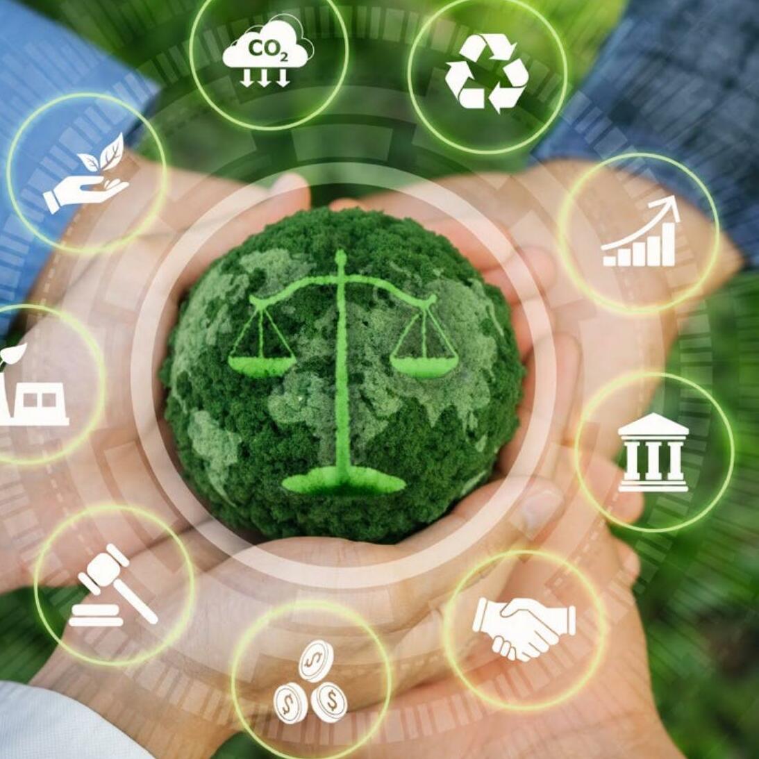 MAKING SUSTAINABILITY ACCOUNTABLE