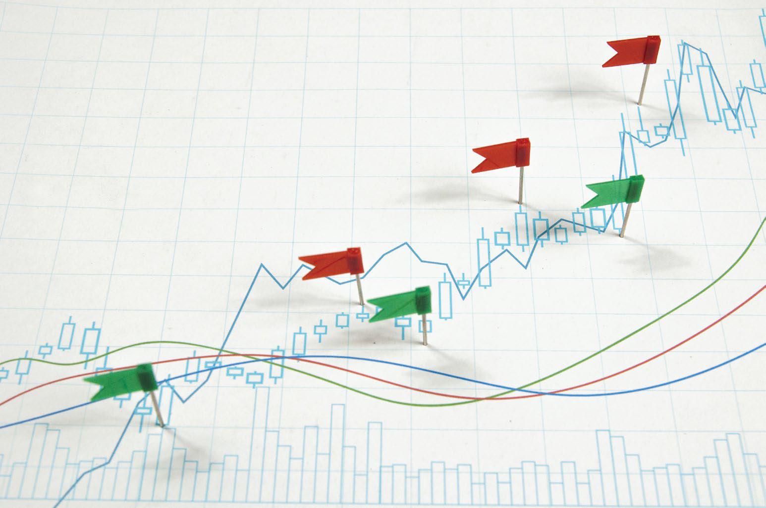 RED FLAGS RISING: A ROADMAP FOR INVESTORS