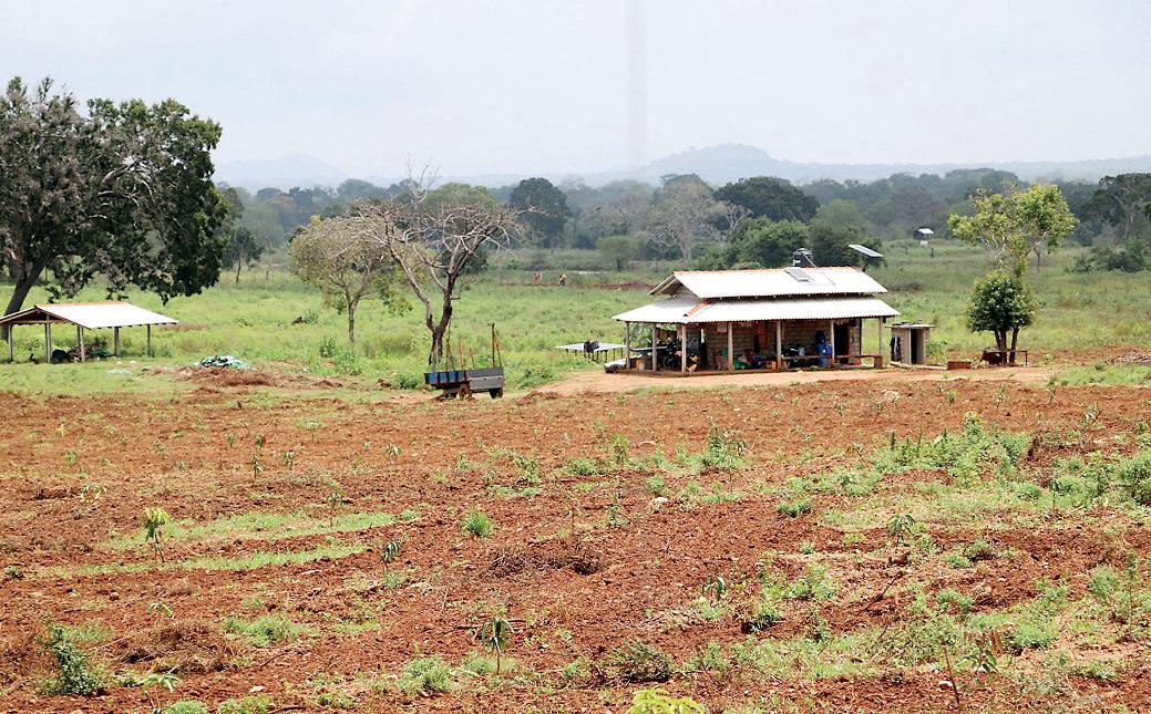 Spotlight on Wandama-Demaliya - Forest GOVT CIRCULAR PUTS LAND SALE PROJECT INSIDE RESERVE