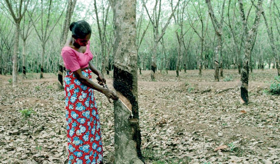 CRTA warns US tariff hike will devastate Sri Lanka’s rubber industry