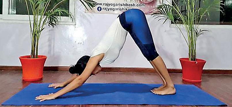 Worship of the Sun gave birth to Yoga
