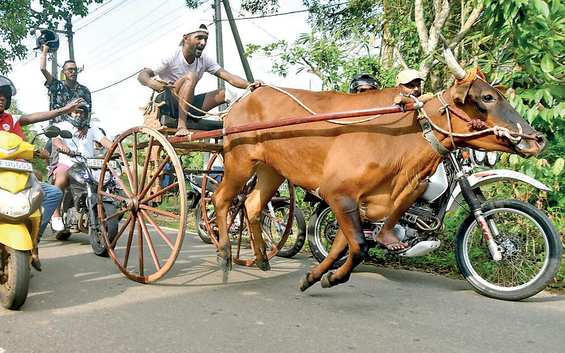 Gammanpila, Namal perturbed over arrest of the real suspects in Easter attacks: Nalinda