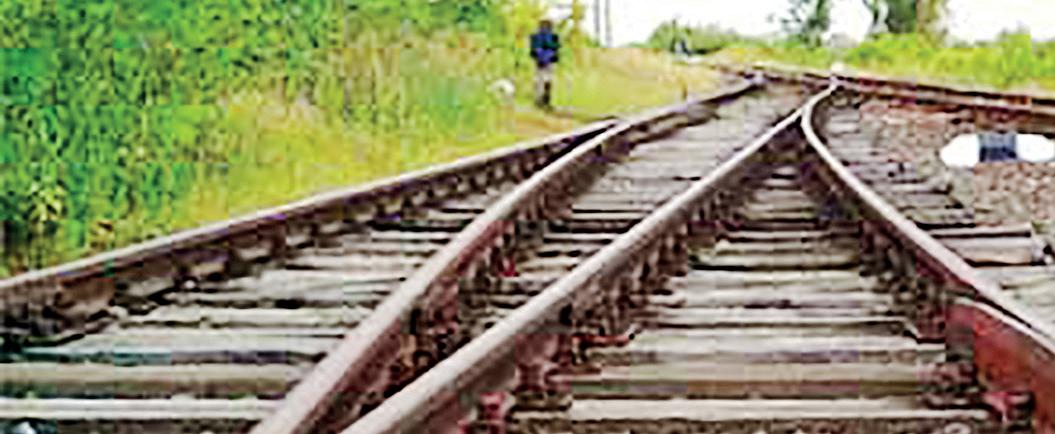 Timber track for greener ride