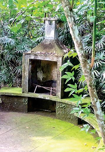A VISIT TO BRIEF GARDEN
