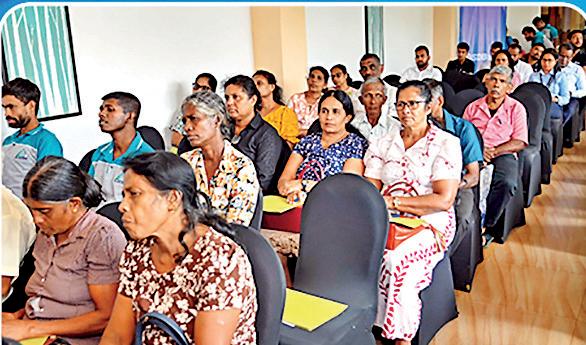 SDB bank strengthens dairy sector development