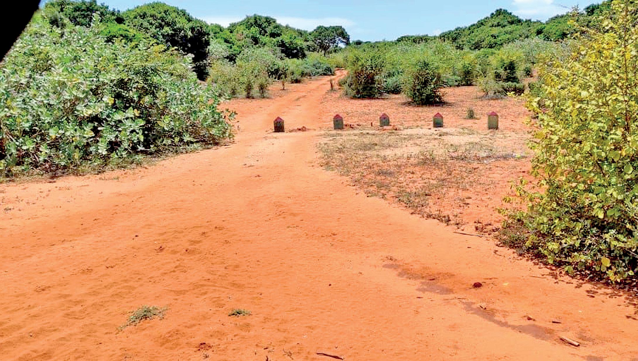 GOVT'S DECISION TO REOPEN ROUTE VIA WILPATTU NP