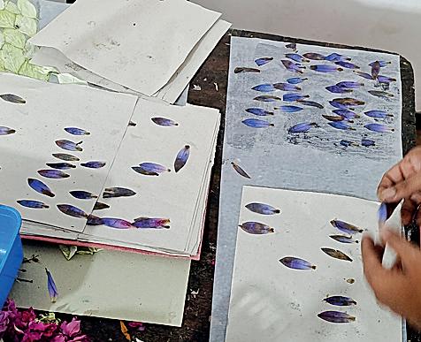 'An immersive Vesak experience' at Mahalwarawa Bakeriya Space