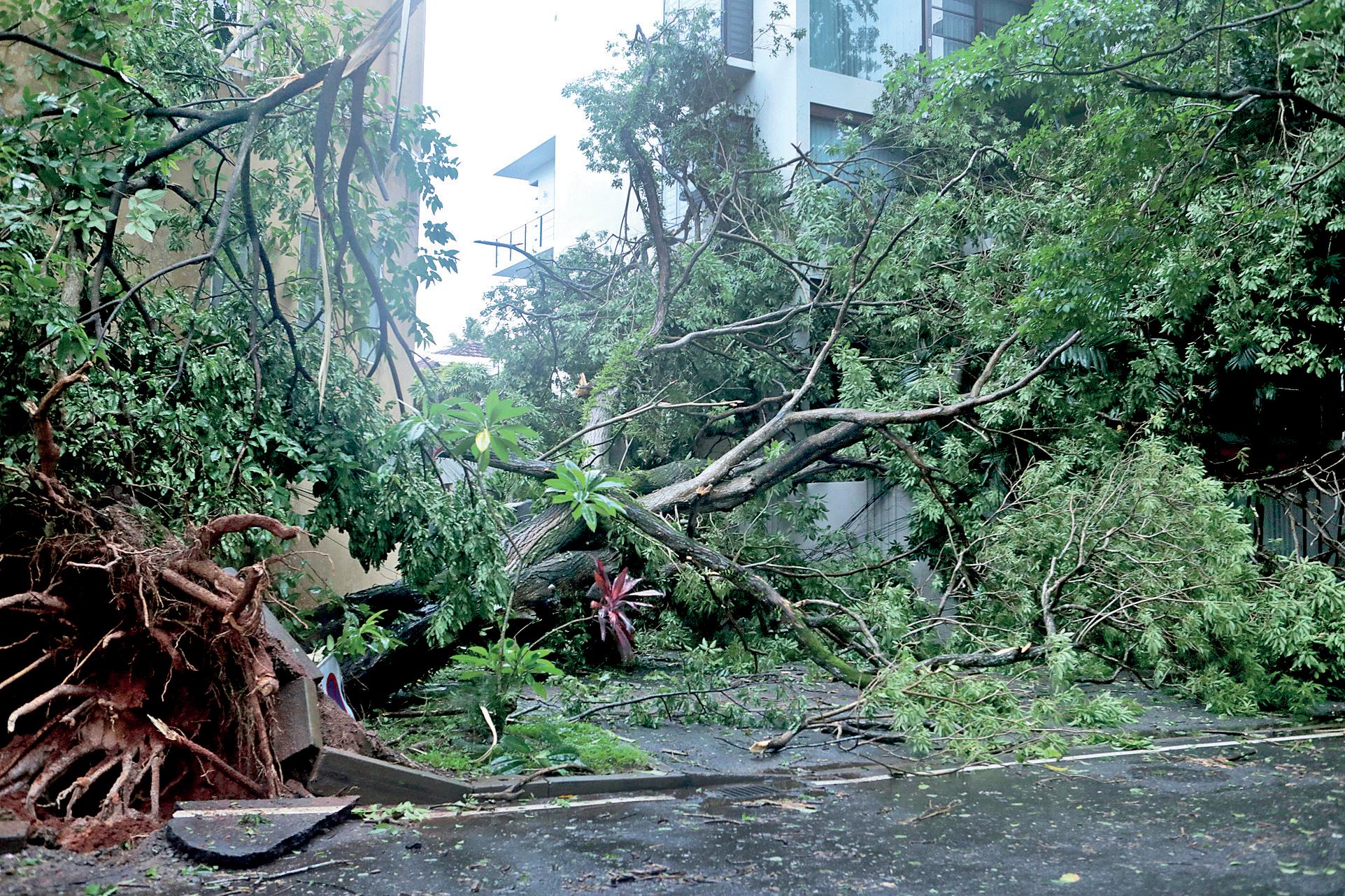SOUTH WEST MONSOON TO POUR IN VIOLENT TORRENTS IN WESTERN PROVINCE